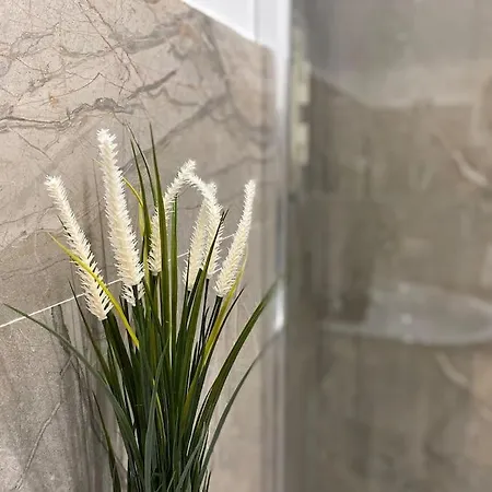 Apartamento Umberto 1°